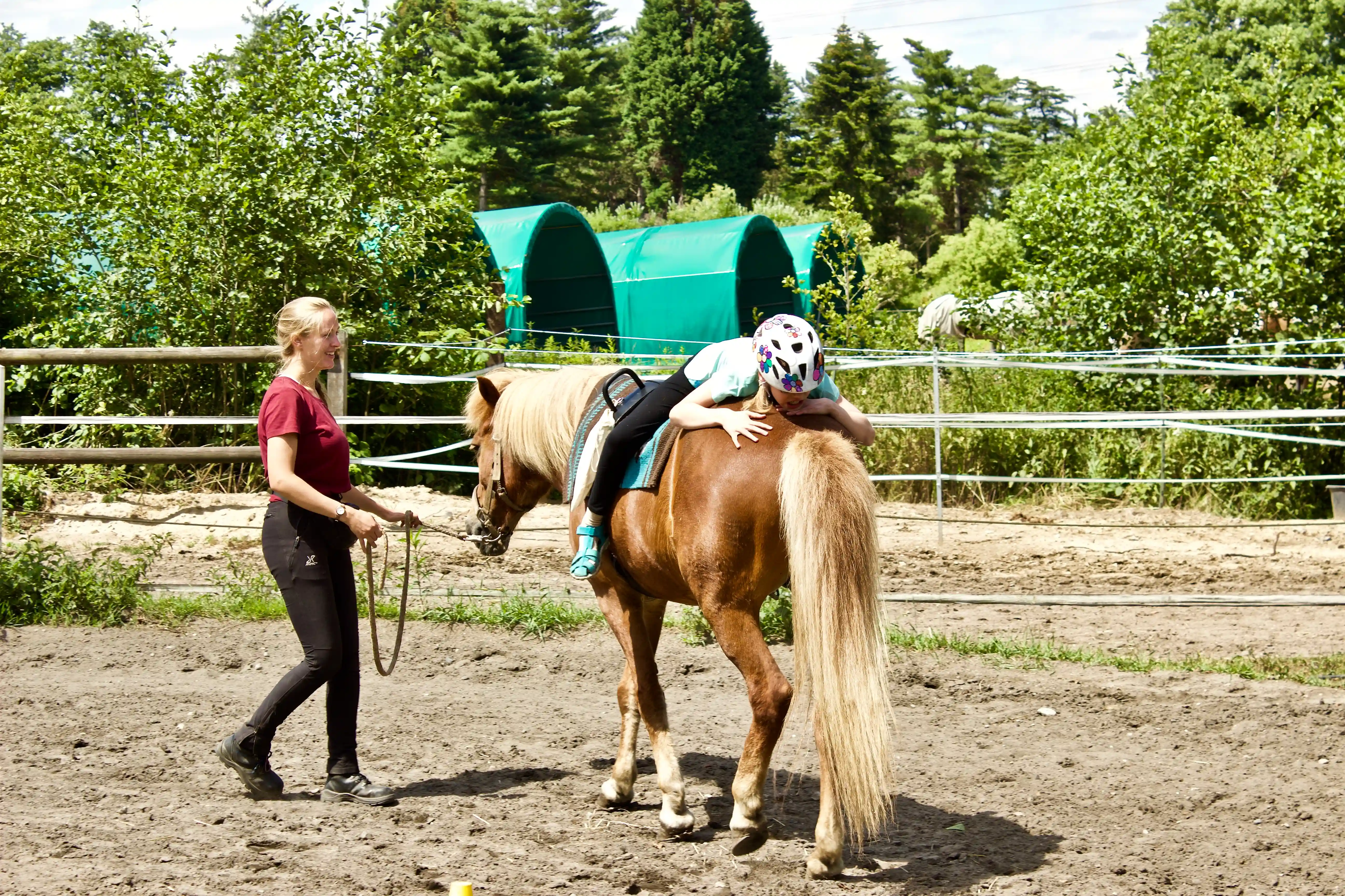 Reittherapie mit Islandpferd
